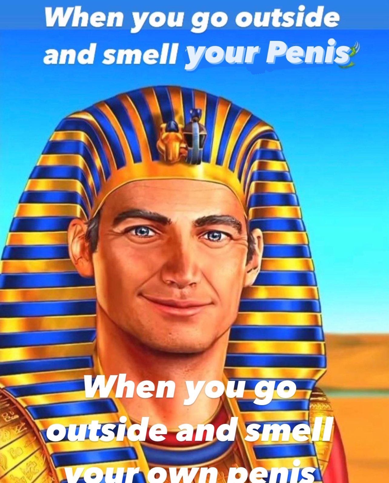 penis